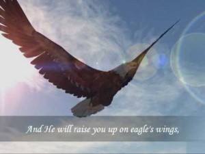 eagle's wings