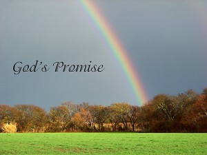 gods-promise
