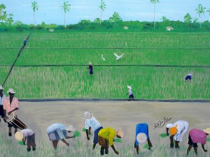 rice-field-haiti-1980-nicole-jean-louis